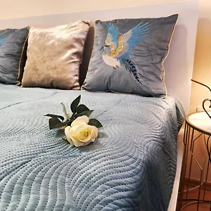  Apartament Albina